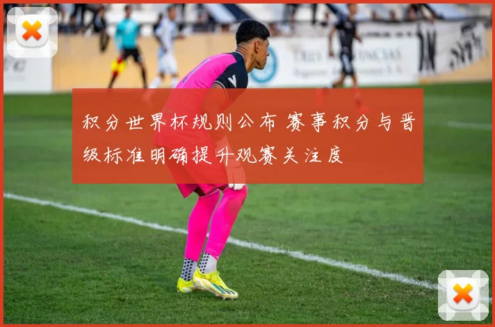 积分世界杯规则公布 赛事积分与晋级标准明确提升观赛关注度