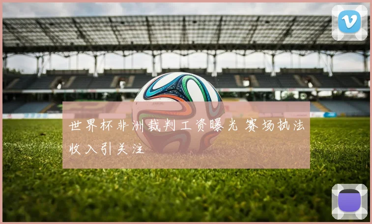 世界杯非洲裁判工资曝光 赛场执法收入引关注