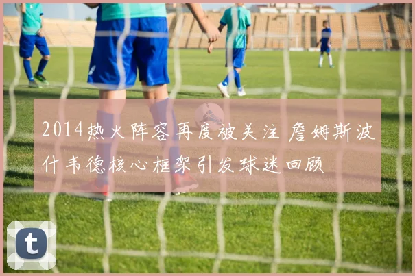 2014热火阵容再度被关注 詹姆斯波什韦德核心框架引发球迷回顾